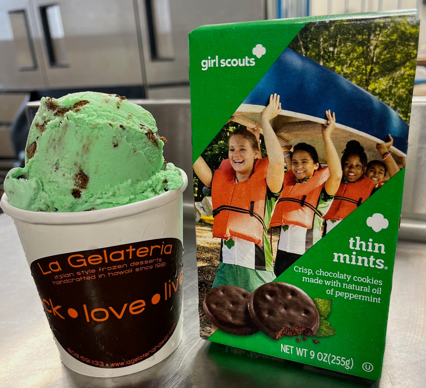Girl Scout Thin Mints Cookie Gelato – La Gelateria