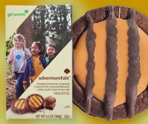 Girl Scout Adventurefuls Cookie Gelato – La Gelateria