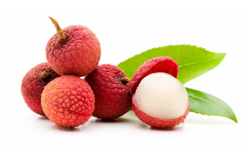 Lychee Sorbetto – La Gelateria