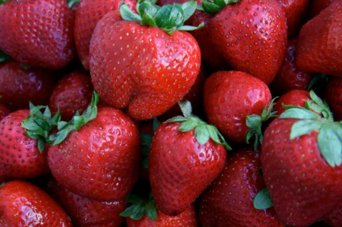 Strawberry Sorbetto